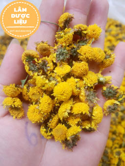 1kg Nụ Cúc Chi Hưng Yên Sấy Lạnh