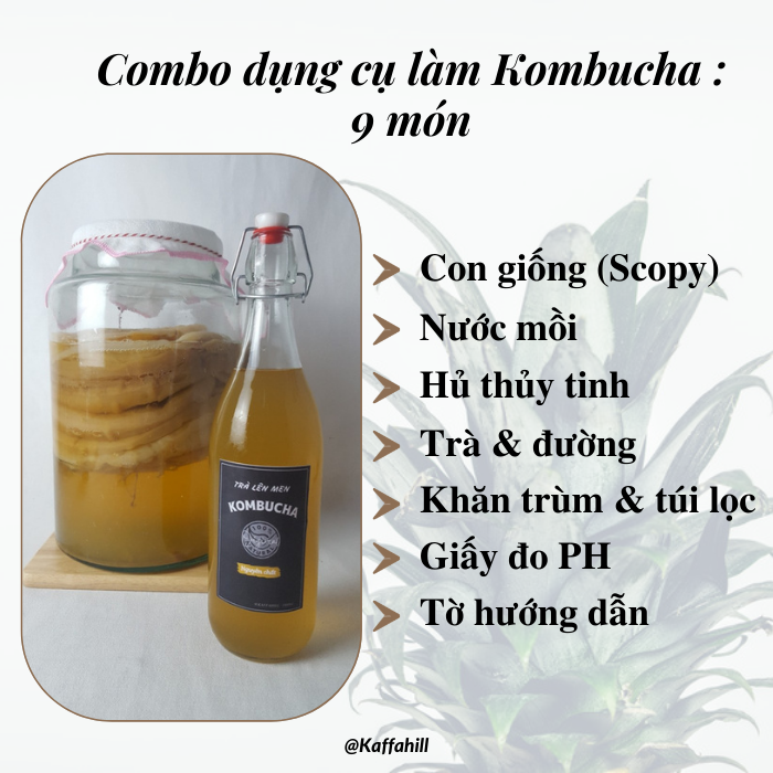 [DIY - Tự làm trà Kombucha] Trọn bộ & Hướng dẫn làm trà Kombucha tại nhà [Tiện lợi - Tiết kiệm - Sáng tạo] Kaffa Hill