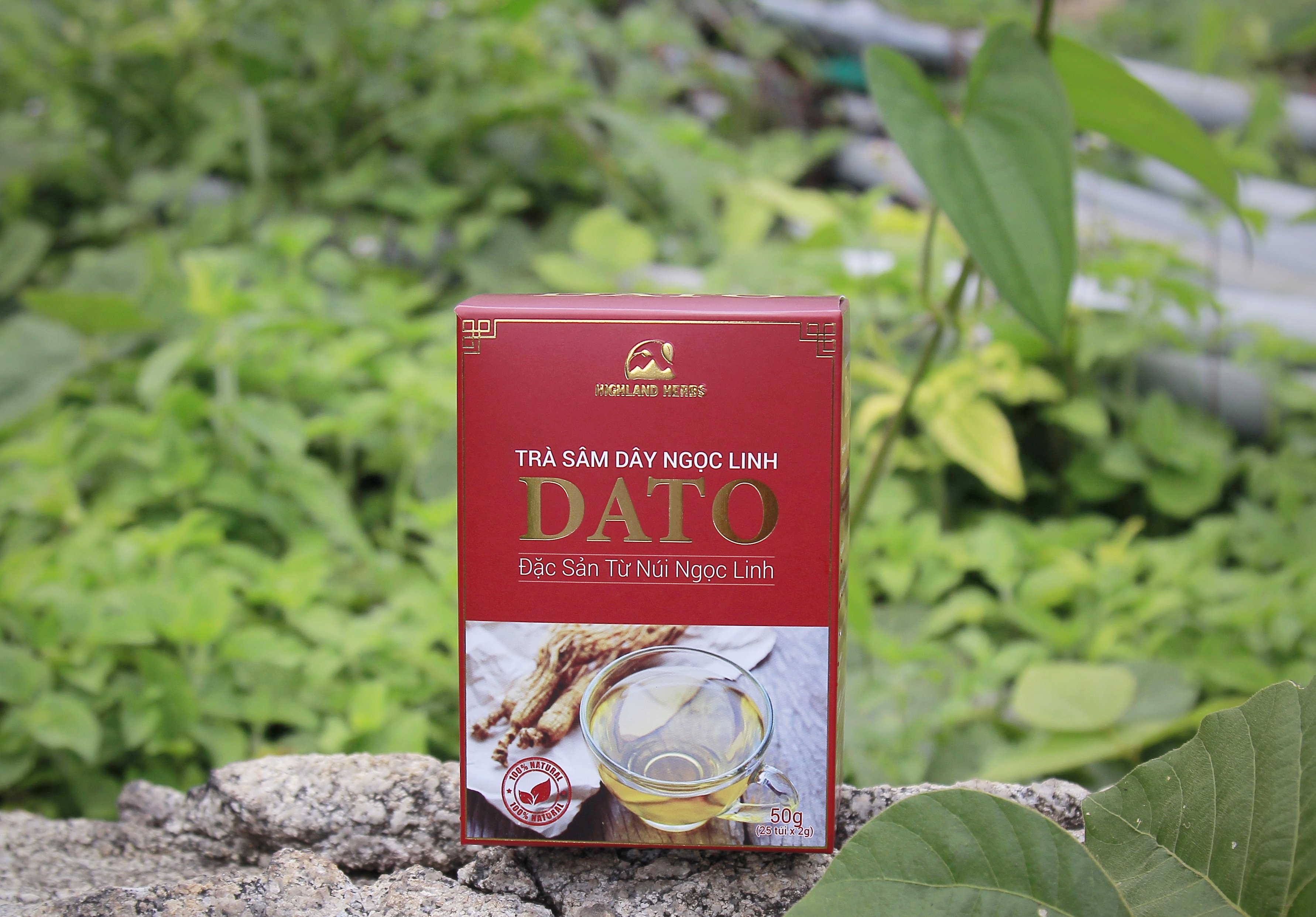 Trà Sâm Dây Ngọc Linh - Món Quà Tây Nguyên