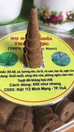 NỤ ĐUỔI MUỖI THẢO DƯỢC