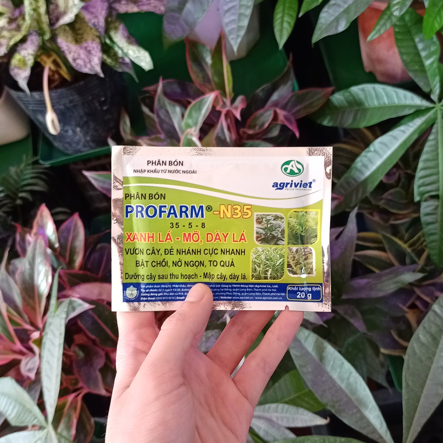 Phân bón profarm – n35 35-5-8 xanh lá – mỡ, dày lá