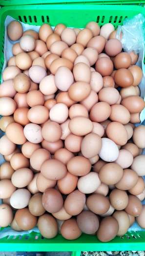 đặc sản các loại gạo. thơm ngon