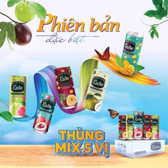 Combo 1 thùng 5 vị nước ép Ezos (ổi, thơm, vải, mãng cầu, chanh dây, xoài)