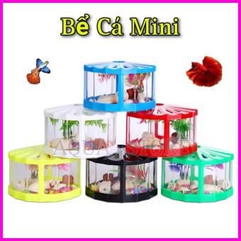 Bể cá Mini kiểu Mới - Hồ cá mini kiểu dáng độc đáo