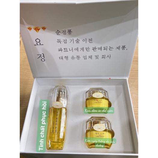 Bộ Noãn Thực Vật Hàn Quốc tái sinh xóa nám