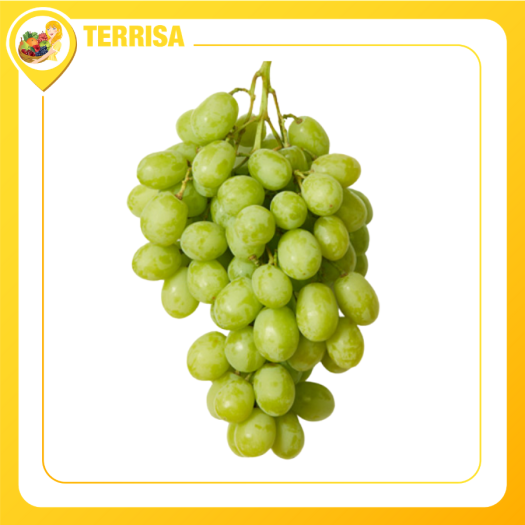 Nho xanh Peru - Sweet Globe - Hộp 500 g - Không hạt, ngọt thanh - Giao nhanh