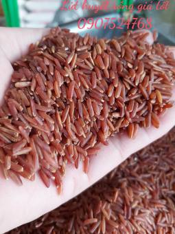 GẠO LỨT HUYẾT RỒNG TỐT CHO SỨC KHỎE. TÚI 5KG