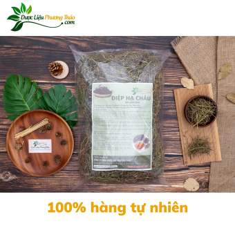 Diệp Hạ Châu khô - Bảo Vệ Gan, Giảm Viêm - Dược liệu Phương Thảo