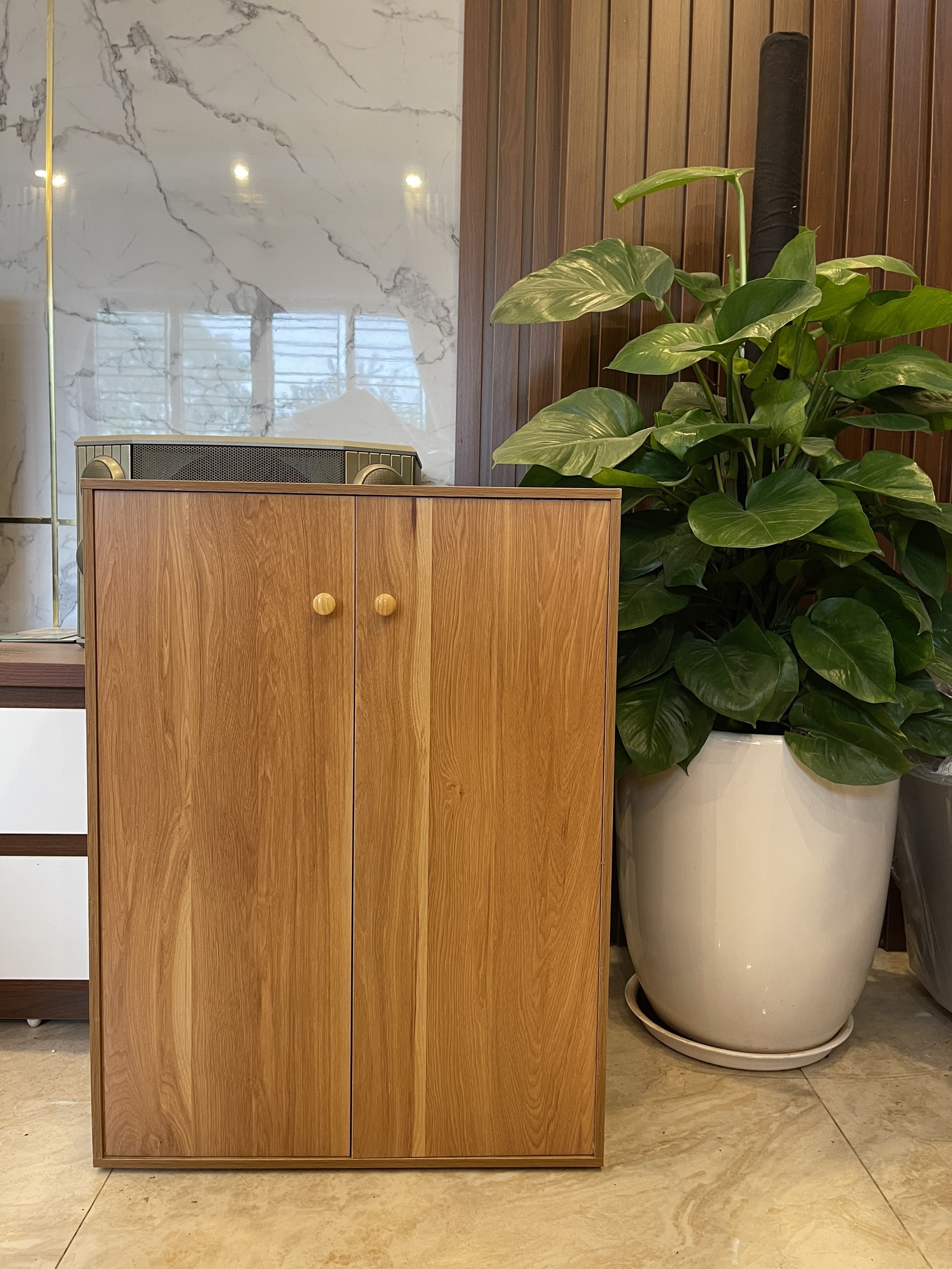 Tủ Giày Gỗ Có Cánh Đa Năng, Tủ Để Đồ Dùng Cá Nhân Giúp Sắp Xếp Không Gian M1