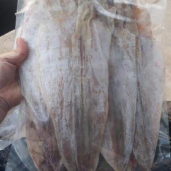 1Kg Mực Câu Khô Loại To Cửa Lò Nghệ An