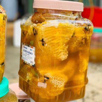 Mật ong khoái rừng nhiệt đới Tây Bắc nguyên chất 100%. Cam kết chuẩn rừng, vắt mật ong tổ nguyên sáp