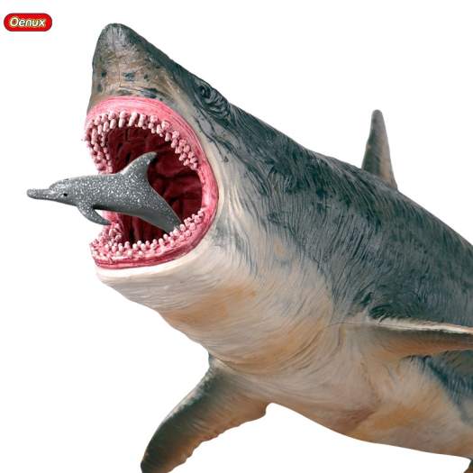 Mô hình cá mập đồ chơi trẻ em AL11 Megalodon  Đồ chơi trẻ em Kidslandvn