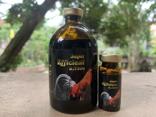B12-B7500 Nuôi tăng bo khủng cho Gà đá (10cc)