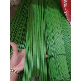 que cắm lan,que giữ hồ điệp dài 40,50,60cm