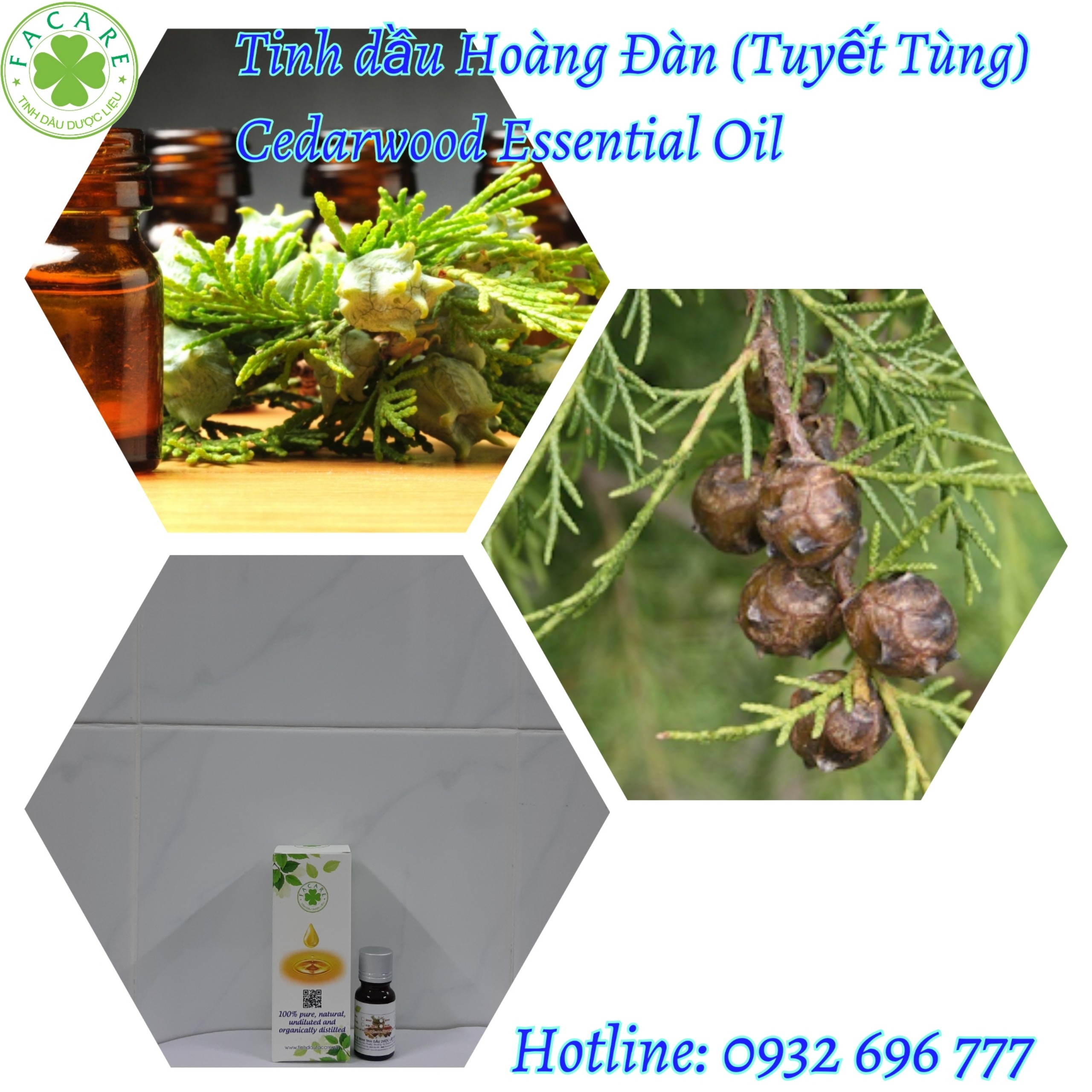 Tinh dầu Hoàng Đàn Cedarwood essential oil giúp giảm đau, khử trùng hiệu quả - 10ml