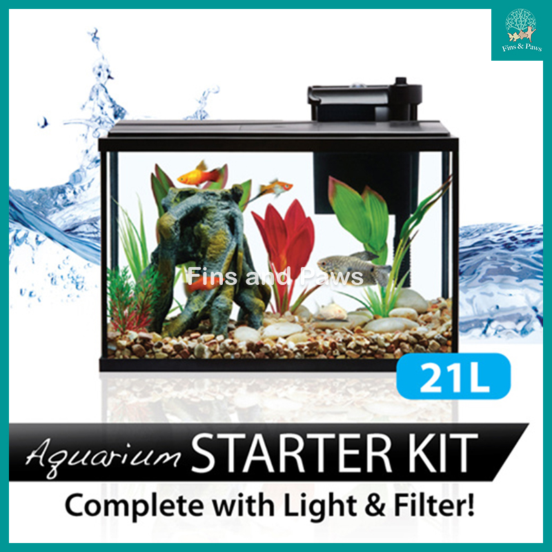 Betta Fish Tank, 360 Aquarium with LED Light, 1 Gallon Fish Bowl, Small  Fish Tank Starter Kit, Beta Fish Tank Self Cleaning as Desktop Decoration  for