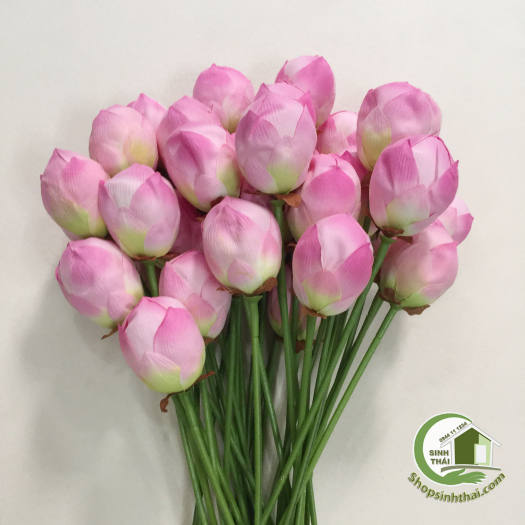 Cành hoa sen giả - cành sen vải lụa cao cấp