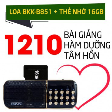 Loa Pháp Thoại 1210 Bài hàm dưỡng tâm hồn ( Phiên bản BKK 851 )