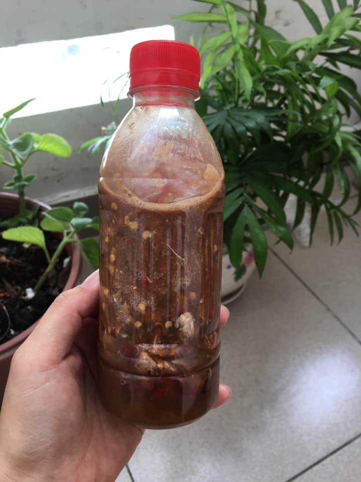 Mắm nêm bình định