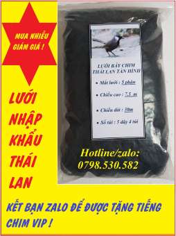 lưới tàn hình 5 phân 30m  bẫy trao trảo.chào mào .cu tiểu.chèo.khướu .sợi lưới 0.15mm mắt lưới 5 phân chiều cao 7.5m số túi 5 dây 4 túi