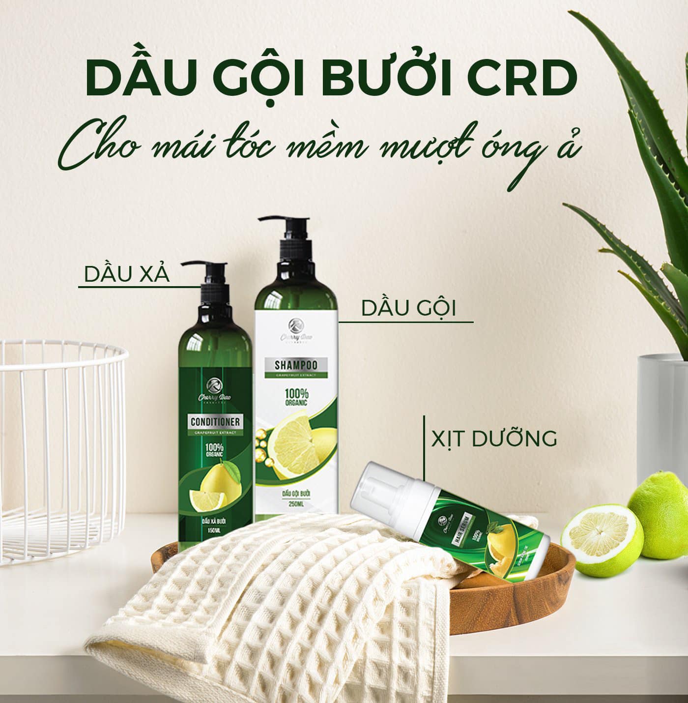 Combo dầu gội dầu xả và serum mọc tóc nhanh CRD - CherryDao