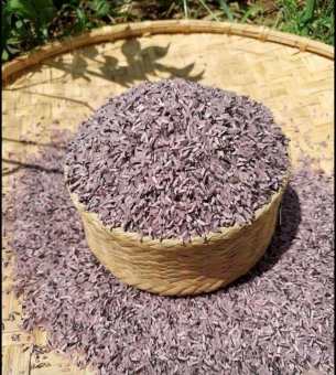 10kg Gạo Nương Tím Dược Liệu (hoàn toàn không dùng phân hoá học) Thiên Thảo Organic
