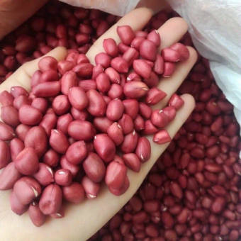 Đậu Phọng Đỏ (Lạc) Tây Bắc The Nut Valley  -RED PEANUTS G500gr