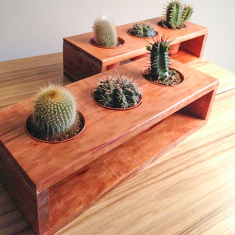 KỆ GỖ THÔNG trồng cây mini sen đá xương rồng cây trong nhà