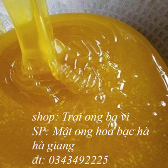 Mật ong nguyên chất 100% hoa bạc hà đặc sản cao nguyên đá Hà Giang
