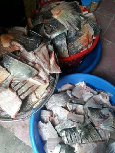 Cá Thính Lập Thạch ( Cá mè)