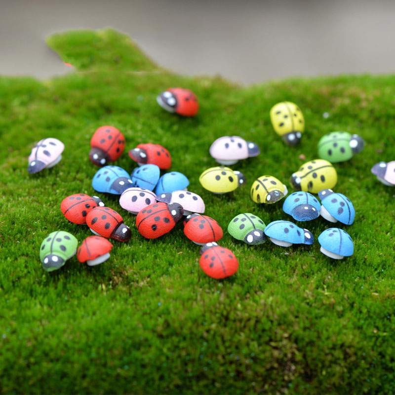 Combo 5 bọ ngũ sắc, phụ kiên trang trí tiểu cảnh terrarium, chậu cây cảnh, sen đá, xương rồng