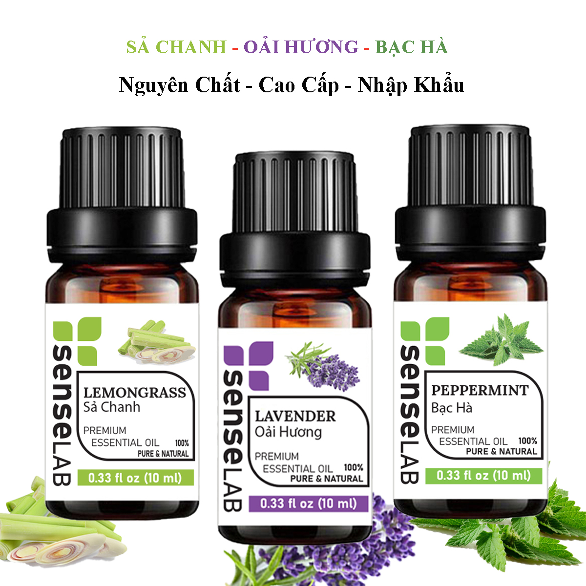 Combo 3 tinh dầu senselab nhập khẩu ấn độ: tinh dầu sả chanh + tinh dầu oải hương + tinh dầu bạc hà - tinh dầu thiên nhiên nguyên chất