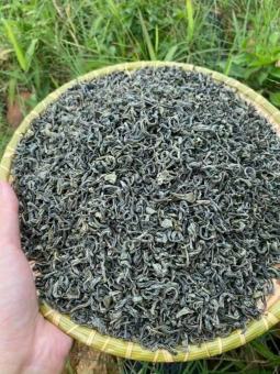 Chè xuân đội 2 Lai Châu. Đặc sản chè Lai Châu loại thượng hạng 500g, chè xanh cổ thụ sạch hái tay, sao khô thủ công, không chứa hoá chất bảo quản