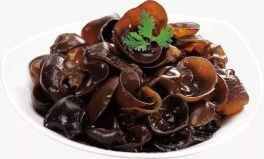 Phôi giống nấm mèo (nấm mộc nhĩ) - (01 kiện 05 bịch nấm)