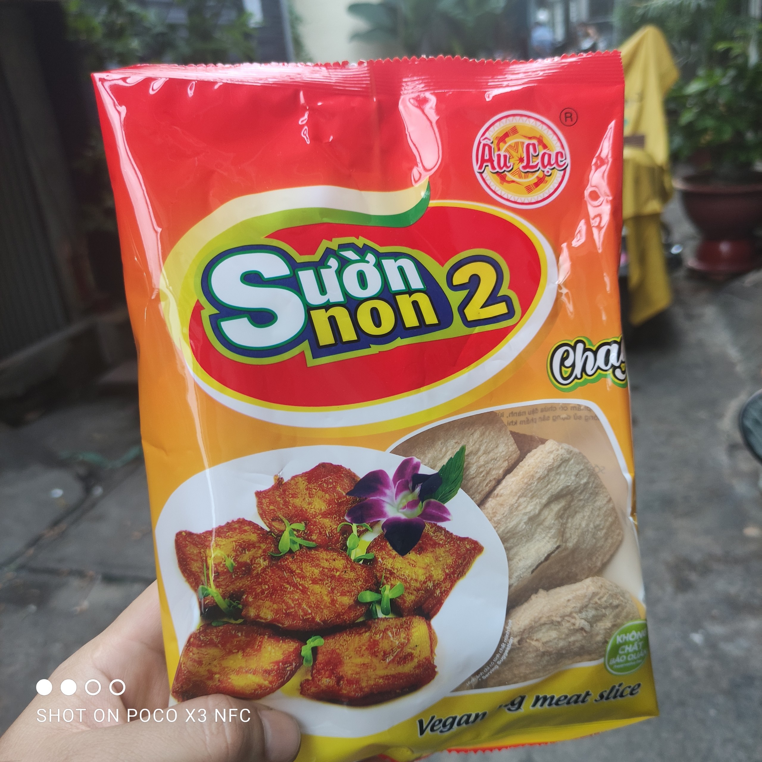 Sườn non chay, bò chay, gà chay au lạc - gói 100g