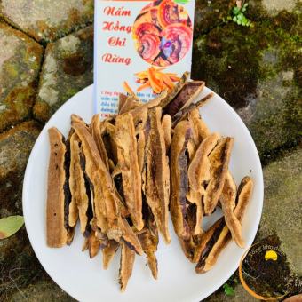 Nấm linh chi đỏ thá¡ lát, nấm linh chi rừng, hồng chi. Thảo dượᴄ quý nấm linh chi đỏ, nấm lim xanh phơi khô tự nhiên