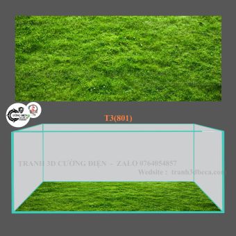 Tranh 3D dán đáy bể cá cảnh