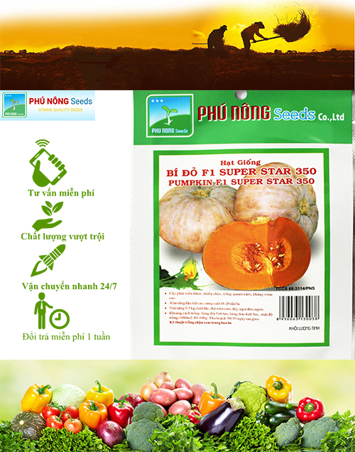 [HCM]Hạt giống Bí đỏ F1 Superstar 350 - 2g