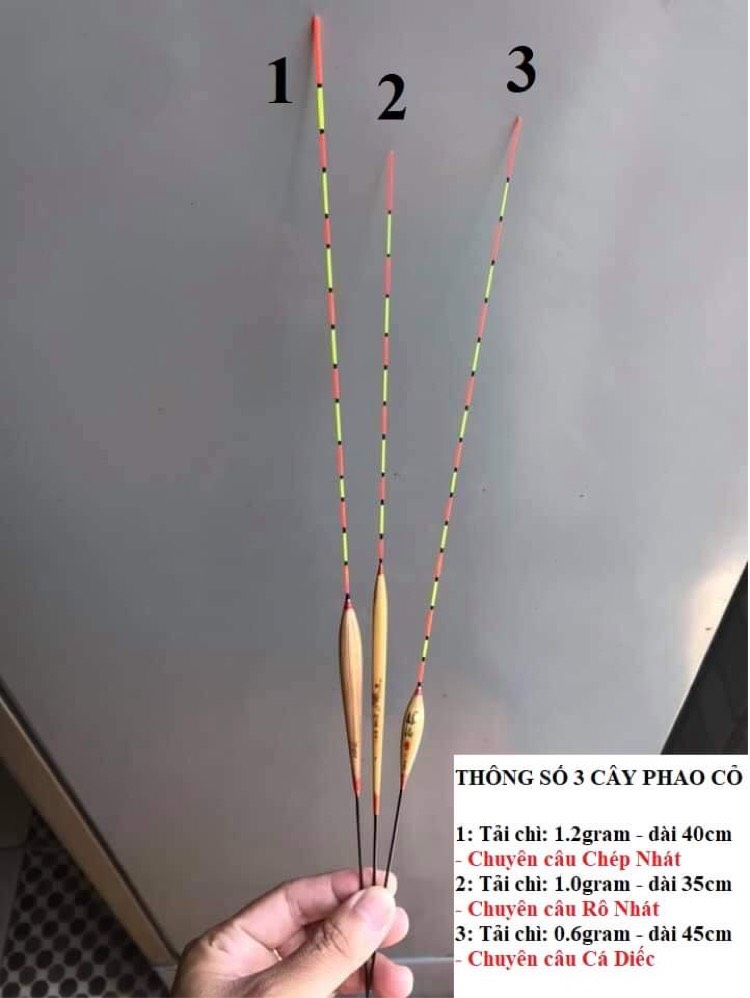 Combo 3 cây _phao cỏ câu đài - cỏ lau tự nhiên 100%