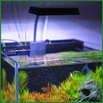 Đèn Flat S3 Plus Nano RGB đỏ cá không đỏ nước