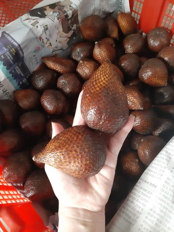 Trái mây indo ngọt thơm