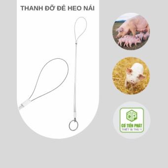 Thanh đỡ đẻ cho heo nái đẻ khó