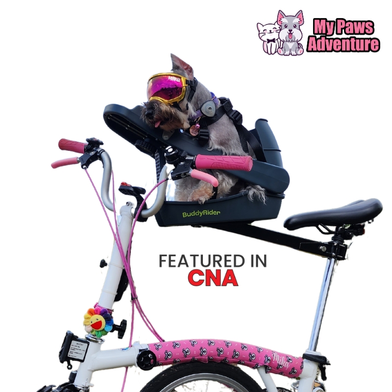 Buddyrider Pet Seat Adjustable Front Back Positioning For Cats