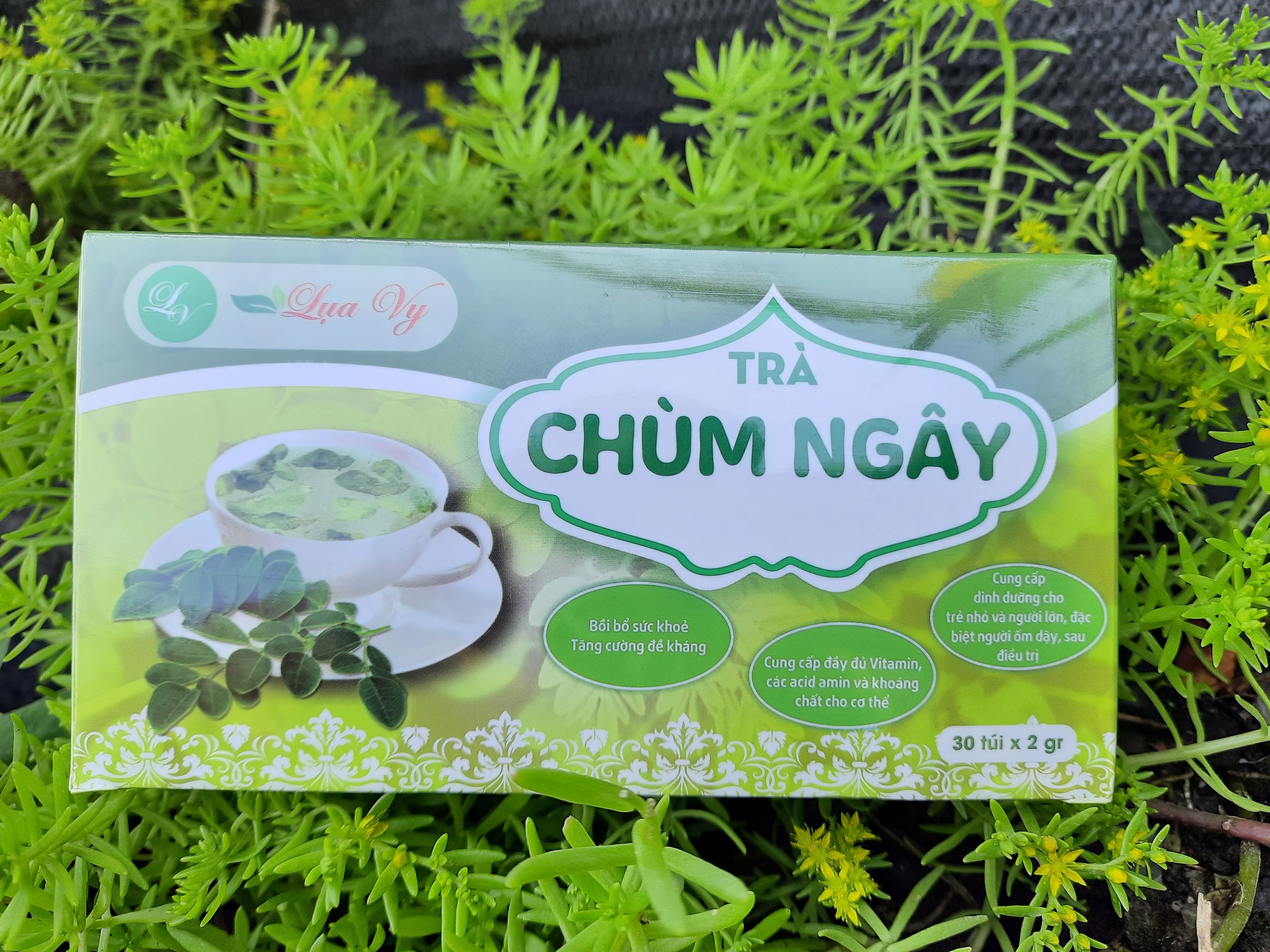 Trà Chùm Ngây Lụa Vy - Hộp 30 túi lọc x 2g, hàng chính hãng, hình ảnh thật