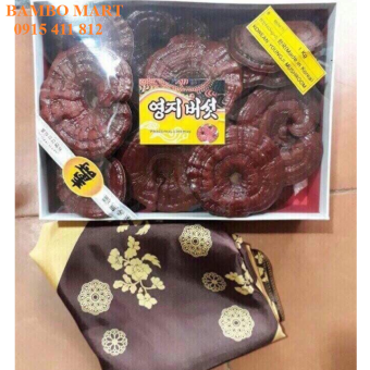 NẤM LINH CHI NÚI ĐỎ