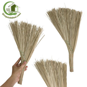Chổi rễ mini - chổi chà - chổi xương - chổi dừa quét sân mini dài 50cm