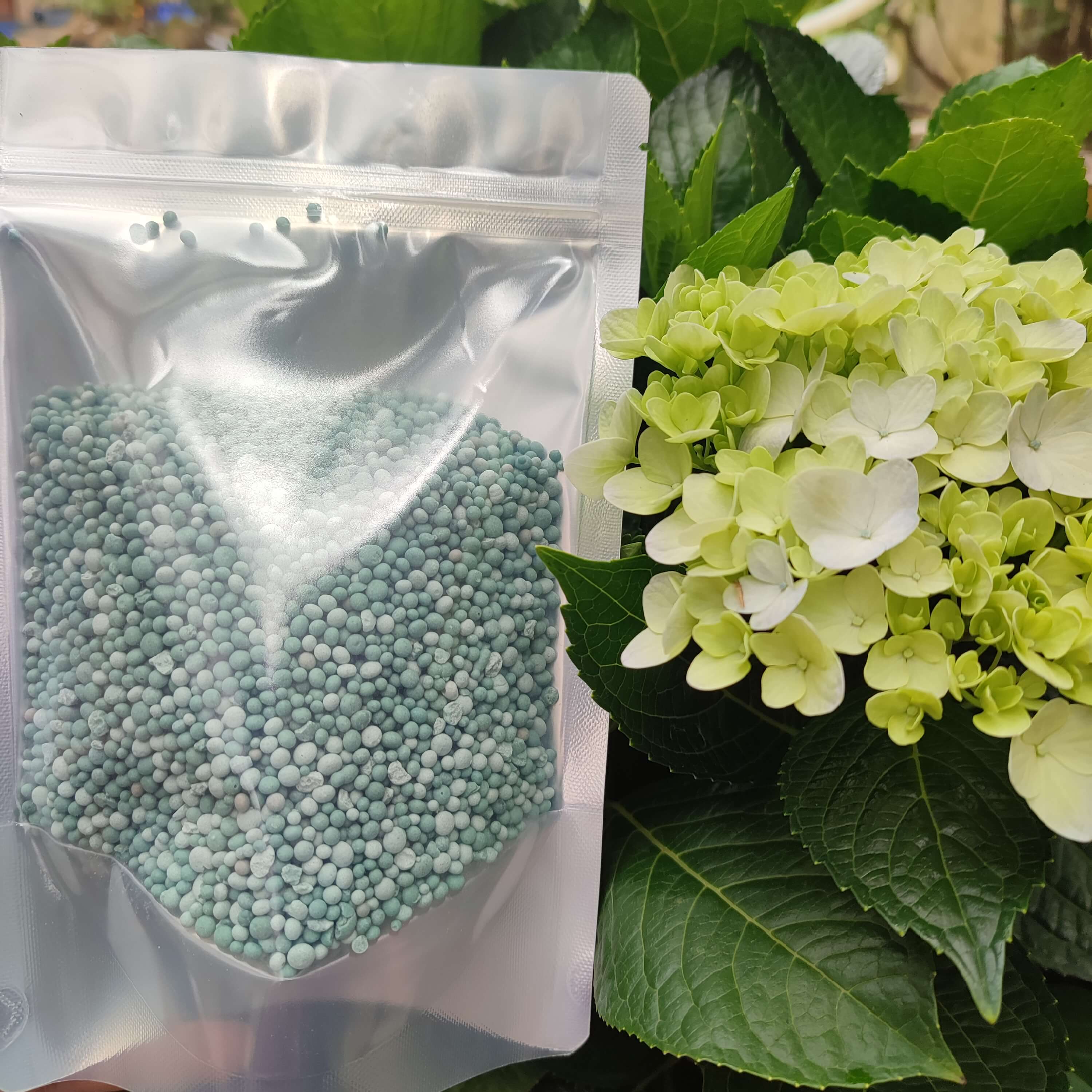 Phân bón npk 20 - 10 - 20 loại phân bón cho hoa hồng hiệu quả, phân bón bổ sung dinh dưỡng định kỳ cho cây cảnh, hoa )