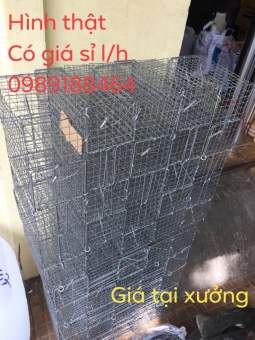 10 Bẫy chuột Bẫy sóc khoen gài