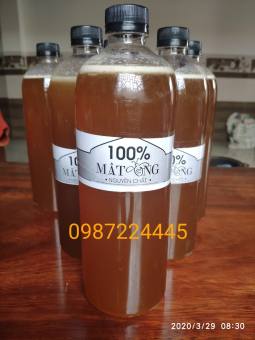 MẬT ONG RỪNG NGUYÊN CHẤT (RỪNG QUỐC GIA KONKAKING GIA LAI)