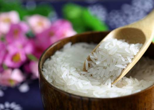 LÚA THÓC TRÒN CHO CHIM BỒ CÂU / GÀ ĂN 1KG